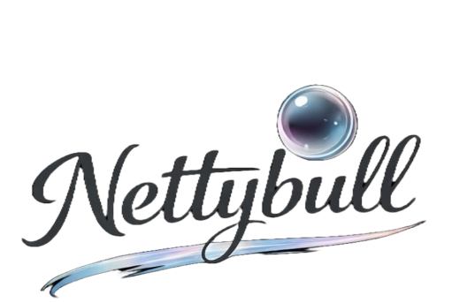 Nettybull — Nettoyage Professionnel à Strasbourg
